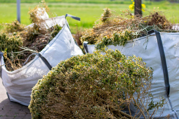 Best Hoarding Cleanup  in Woodlawn, VA
